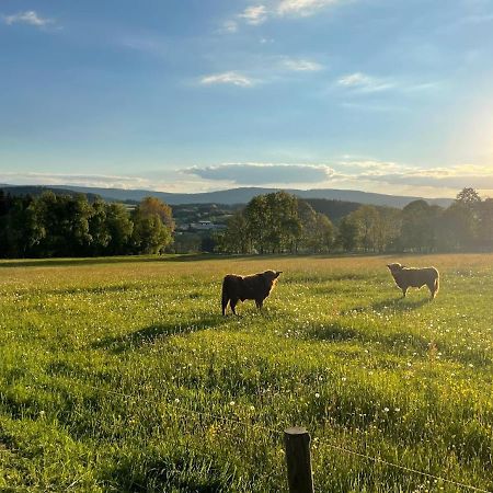 Apartmany Sumavanek Zdikov Bagian luar foto