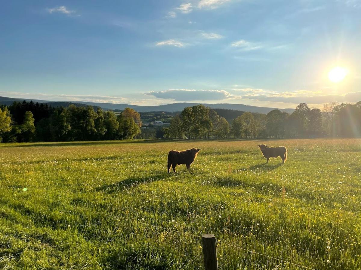 Apartmany Sumavanek Zdikov Bagian luar foto
